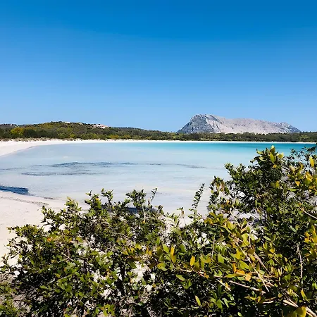 Gelsomino Vista Mare
