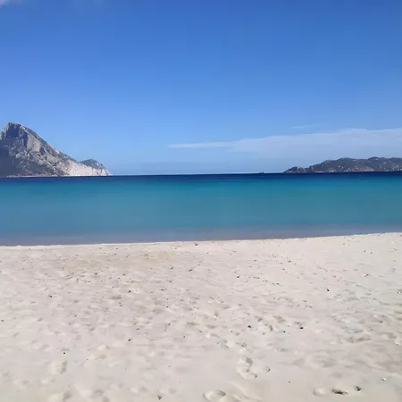 Apartmán Gelsomino Vista Mare *