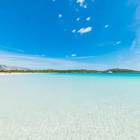 Gelsomino Vista Mare