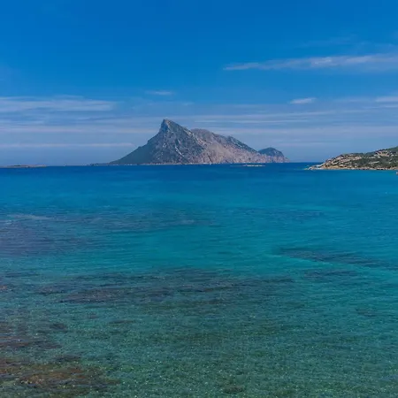 Gelsomino Vista Mare 아파트 *